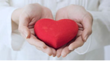 人力资源岗位培训