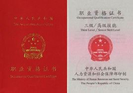 三级人力资源管理师