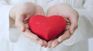 社会工作师（中级、助理）网络课程